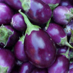 Brinjal-1
